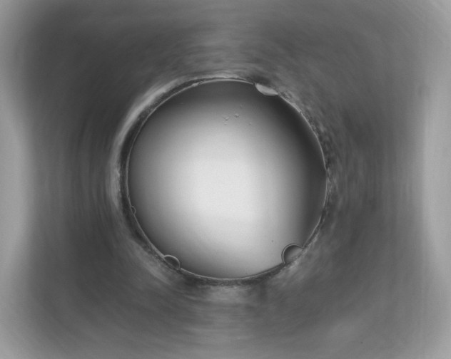 X0000110910342200906251402