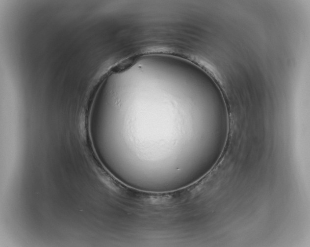 X0000110910345200906251402