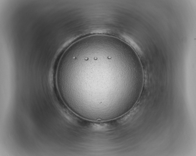 X0000110910346200906251402