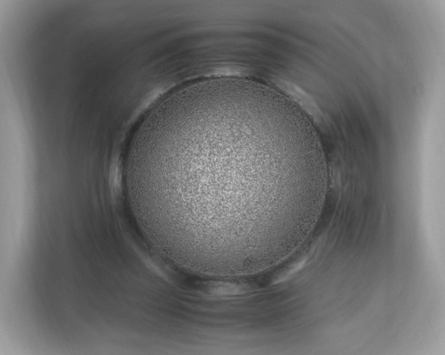 X0000110910347200906251402