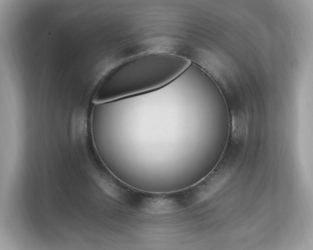 X0000110910348200906251402