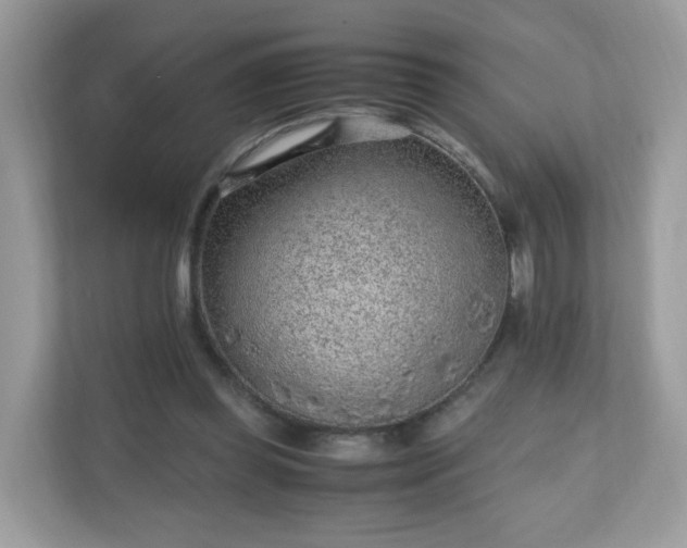 X0000110910349200906251402