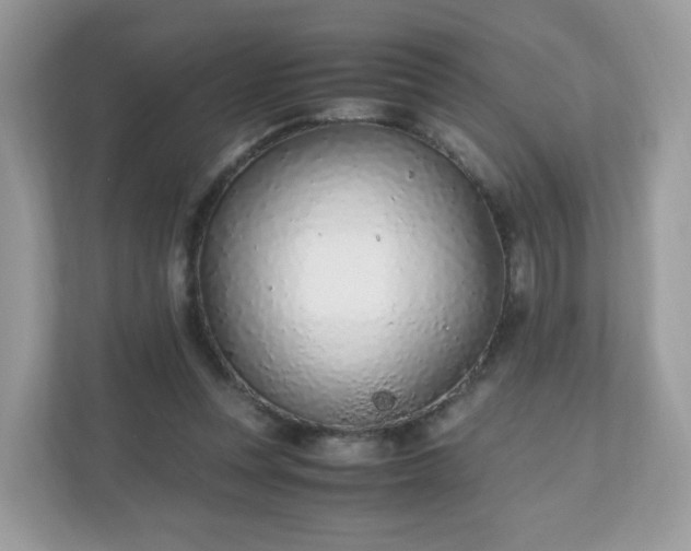 X0000110910351200906251402