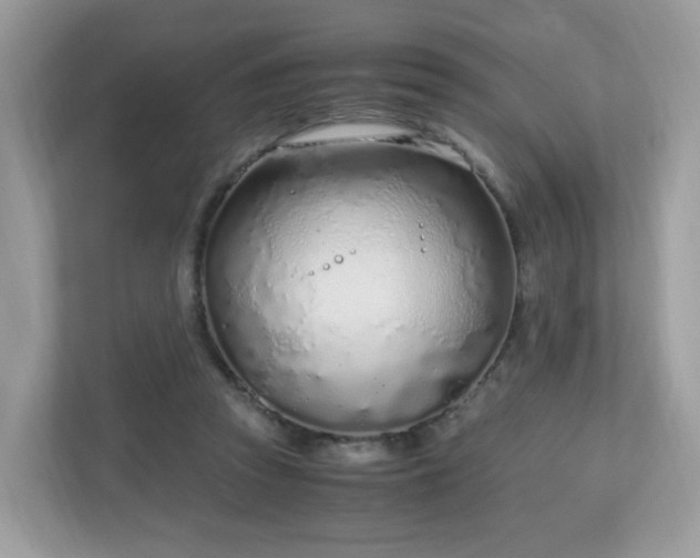 X0000110910353200906251402