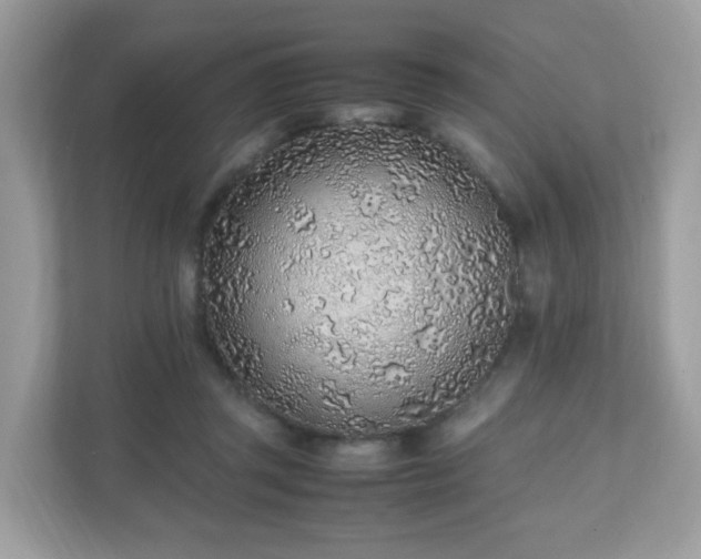 X0000110910357200906251402