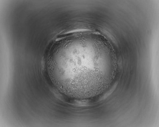 X0000110910359200906251402