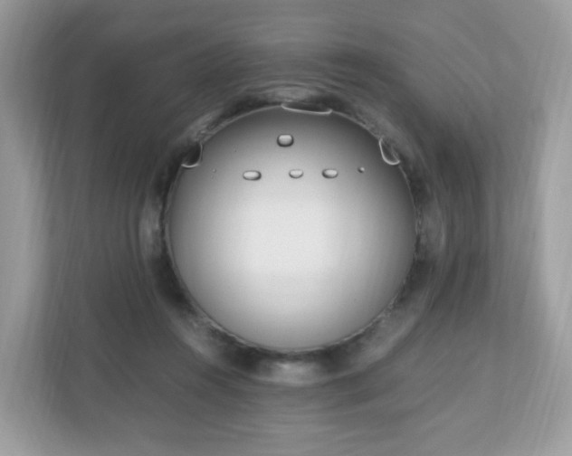 X0000110910360200906251402