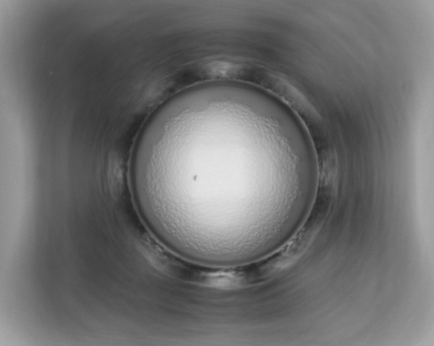 X0000110910363200906251402