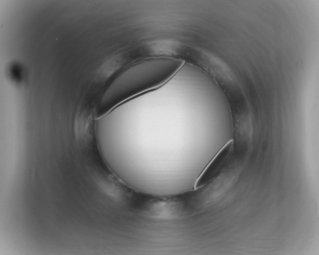 X0000110910364200906251402