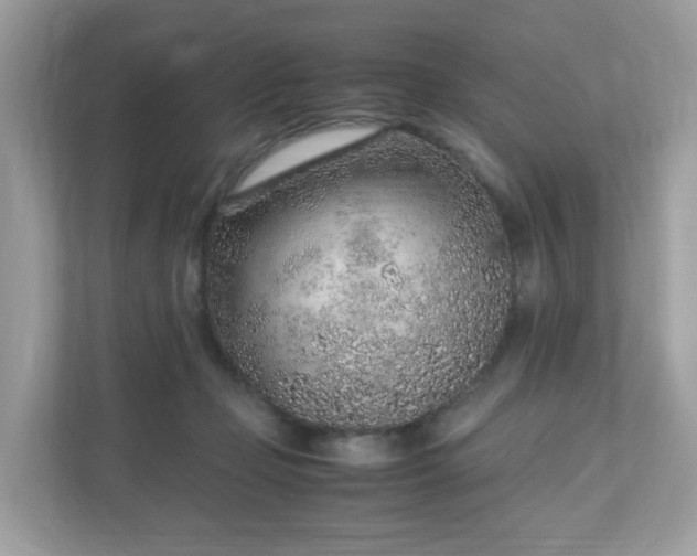 X0000110910365200906251402