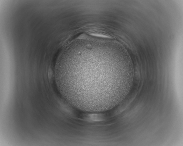 X0000110910371200906251402