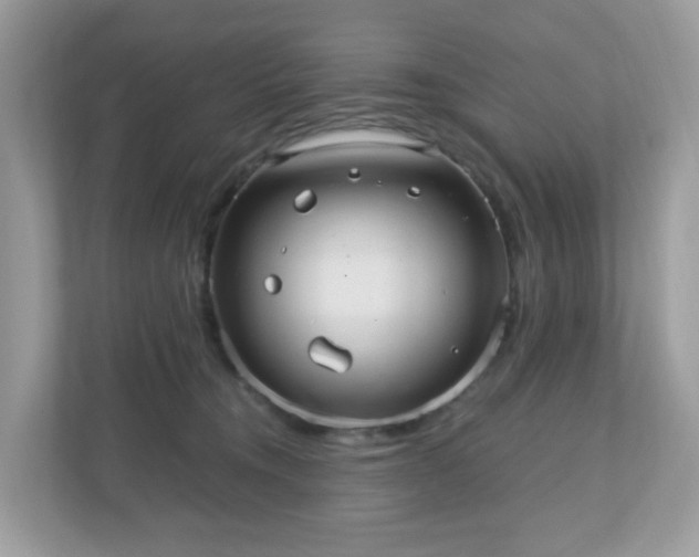 X0000110910372200906251402