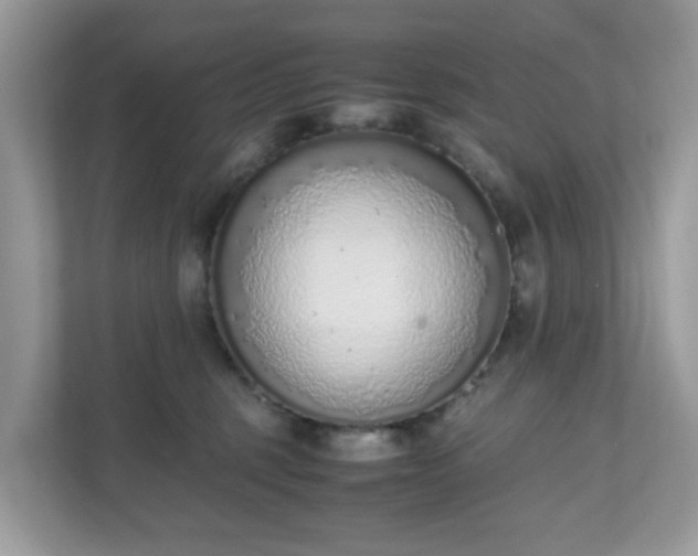 X0000110910375200906251402