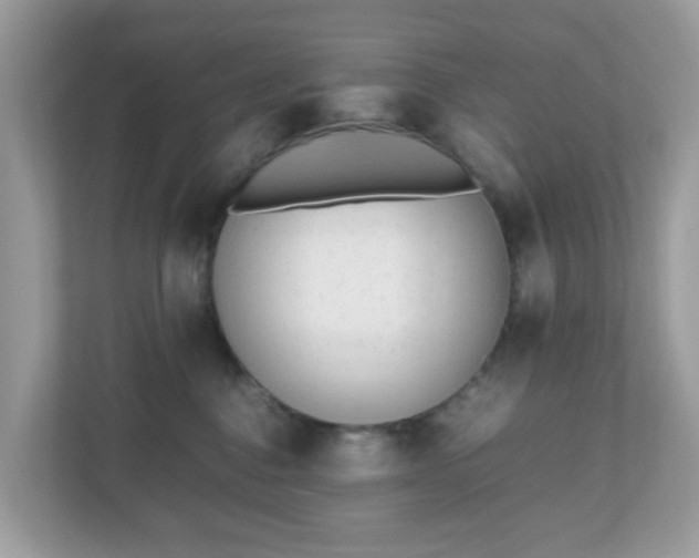 X0000110910376200906251402