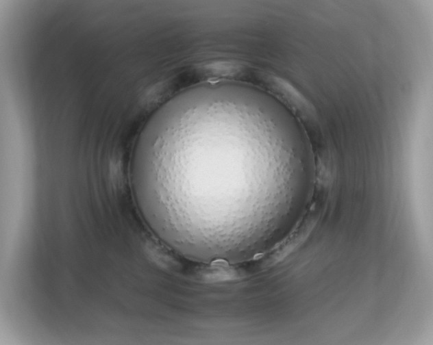 X0000110910377200906251402