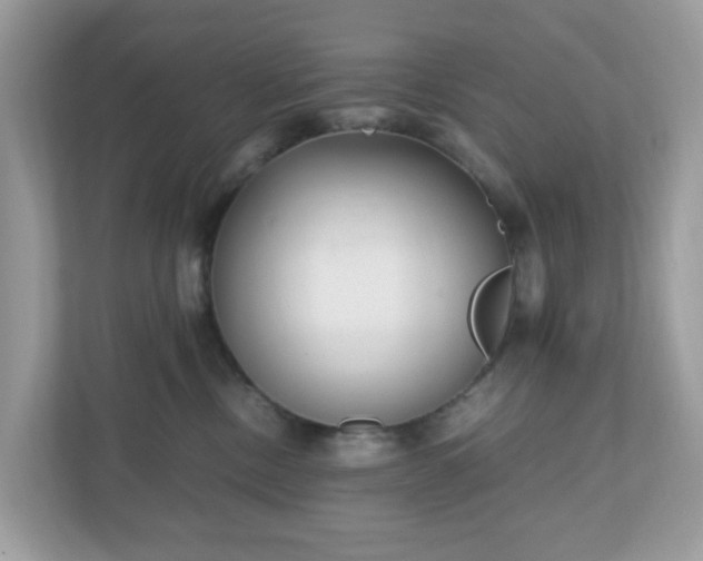 X0000110910378200906251402