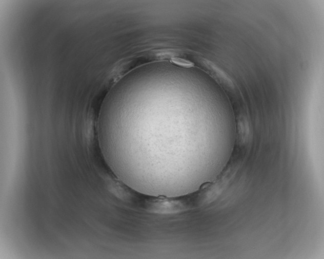 X0000110910379200906251403