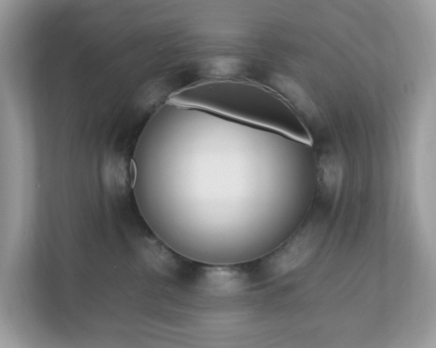 X0000110910380200906251403