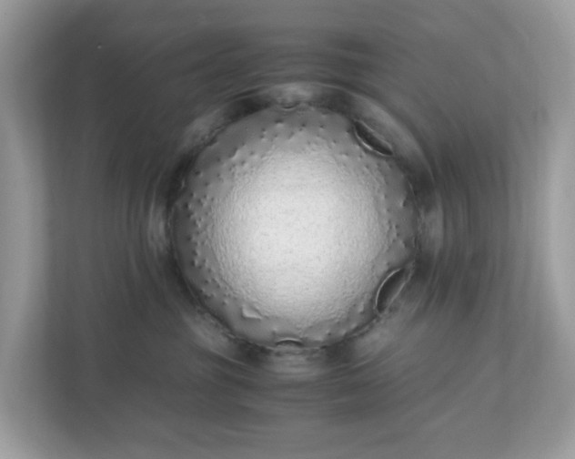 X0000110910381200906251403