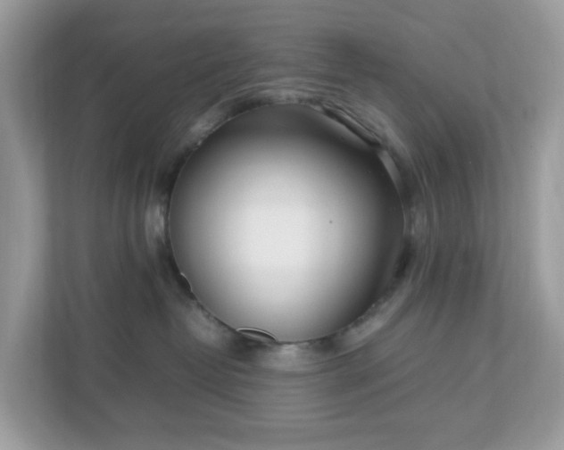 X0000110910382200906251403