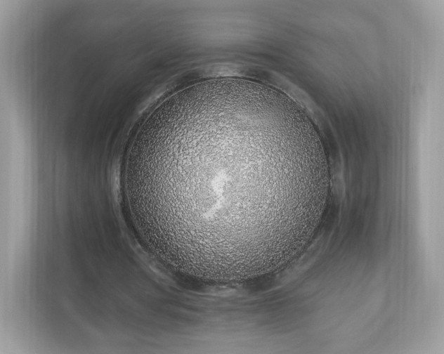 X0000110910386200906251402