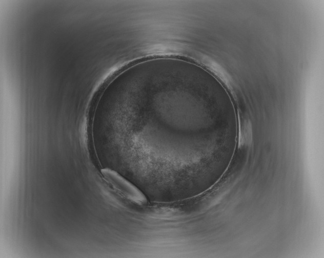 X0000110910387200906251402