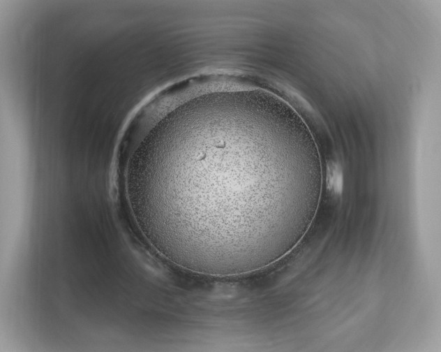 X0000110910388200906251402