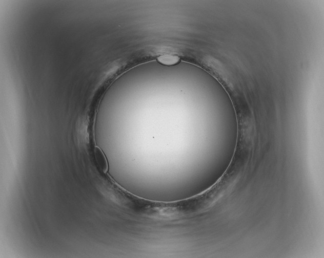 X0000110910395200906251402