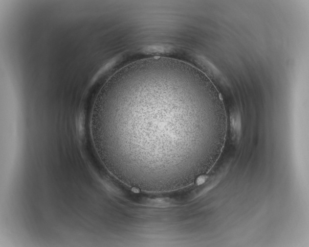 X0000110910396200906251402