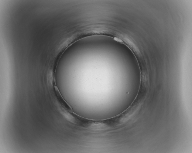 X0000110910397200906251402