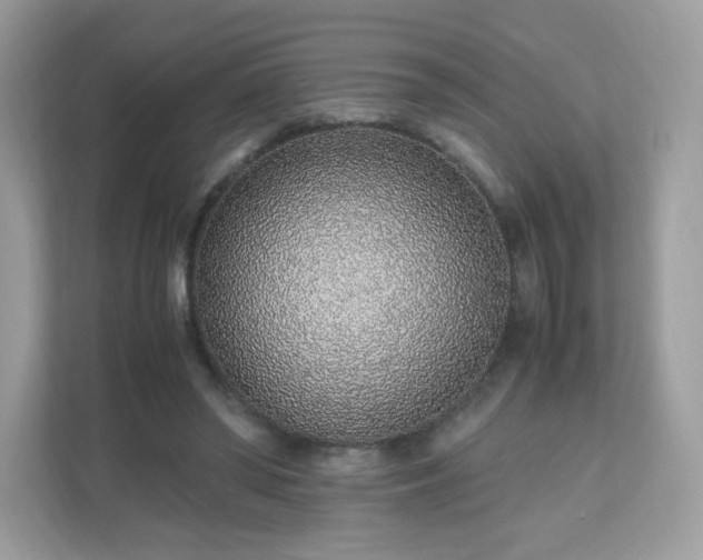 X0000110910398200906251402