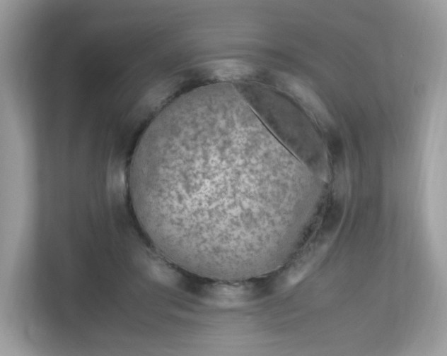 X0000110910405200906251402