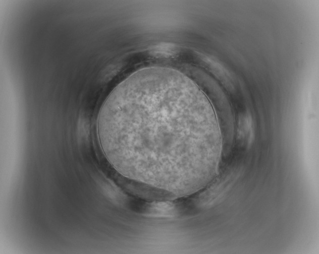 X0000110910409200906251402