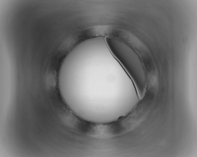 X0000110910413200906251401