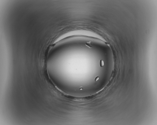 X0000110910417200906251401