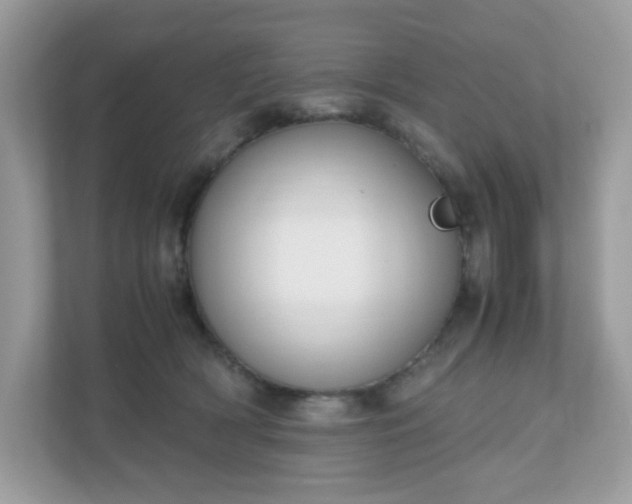 X0000110910418200906251401