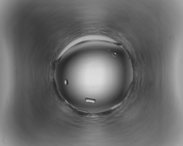 X0000110910419200906251401