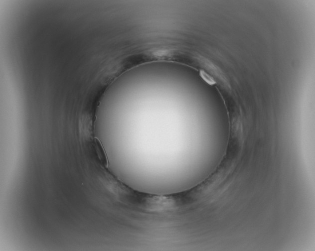 X0000110910421200906251401