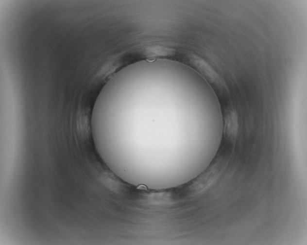 X0000110910426200906251401