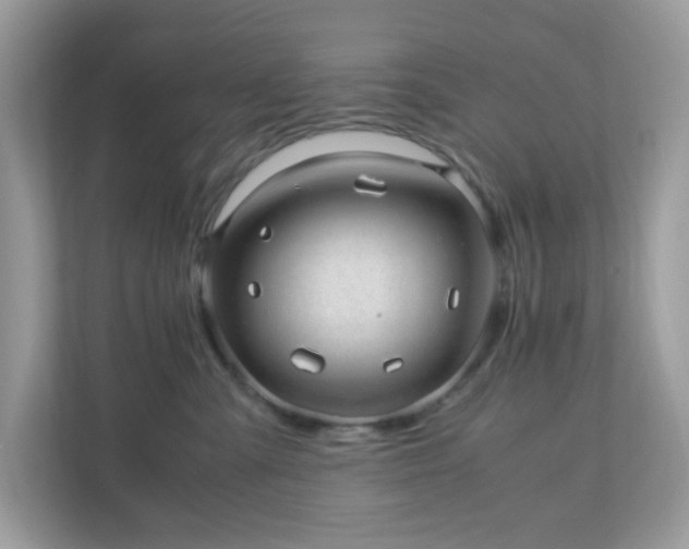 X0000110910427200906251401