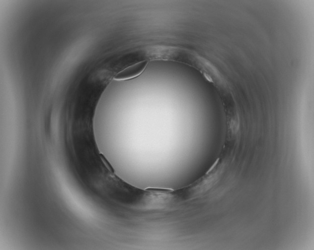 X0000110910429200906251401