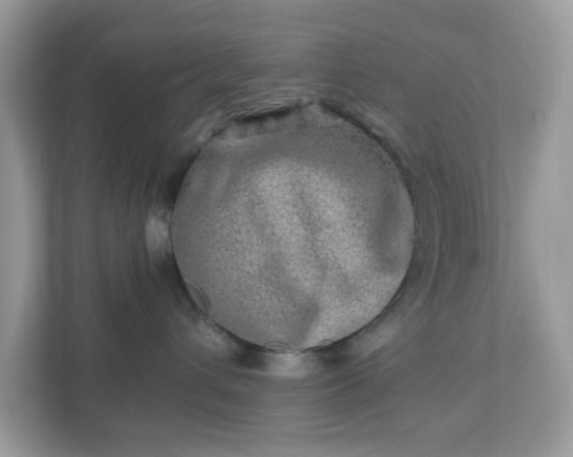 X0000110910432200906251401