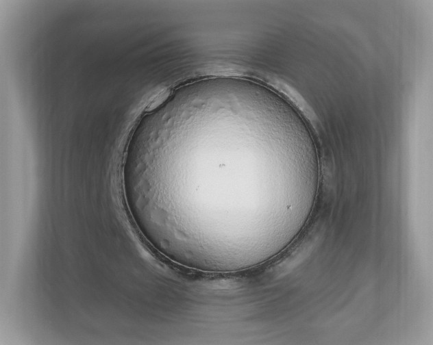 X0000110910433200906251401