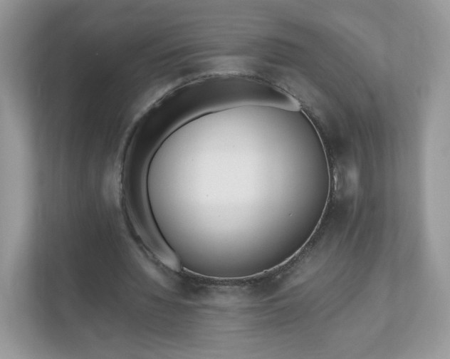 X0000110910436200906251401