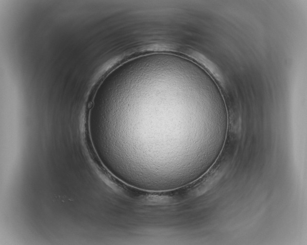 X0000110910437200906251401