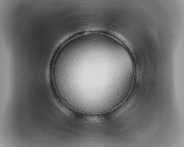 X0000110910439200906251401