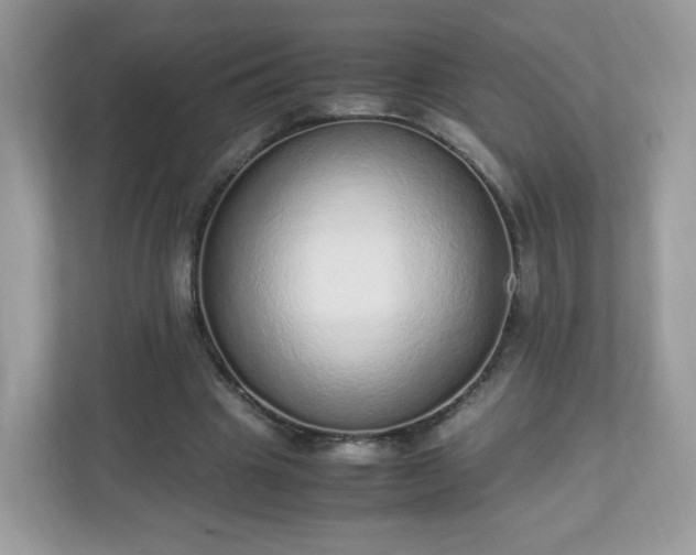 X0000110910441200906251401