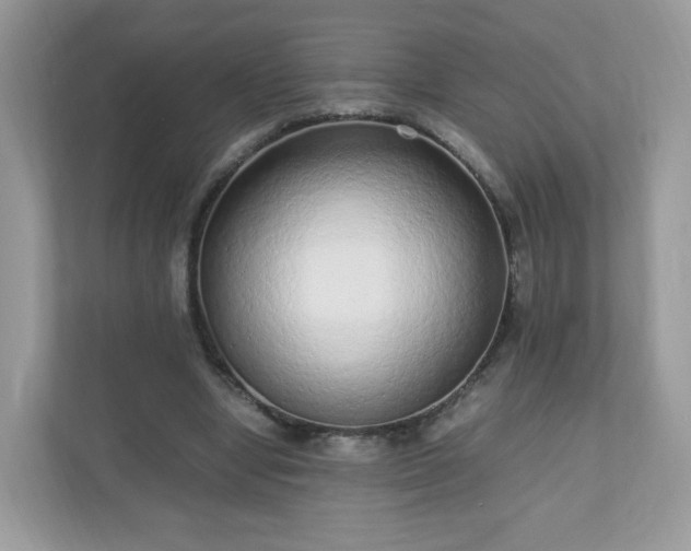 X0000110910442200906251401