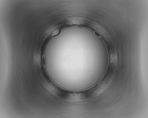 X0000110910444200906251401