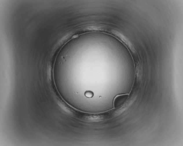 X0000110910445200906251401